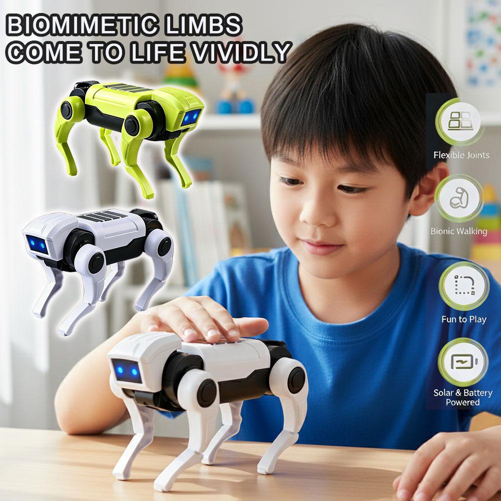 Science Project Robot - Brinquedo Robô Cão RC de Montagem