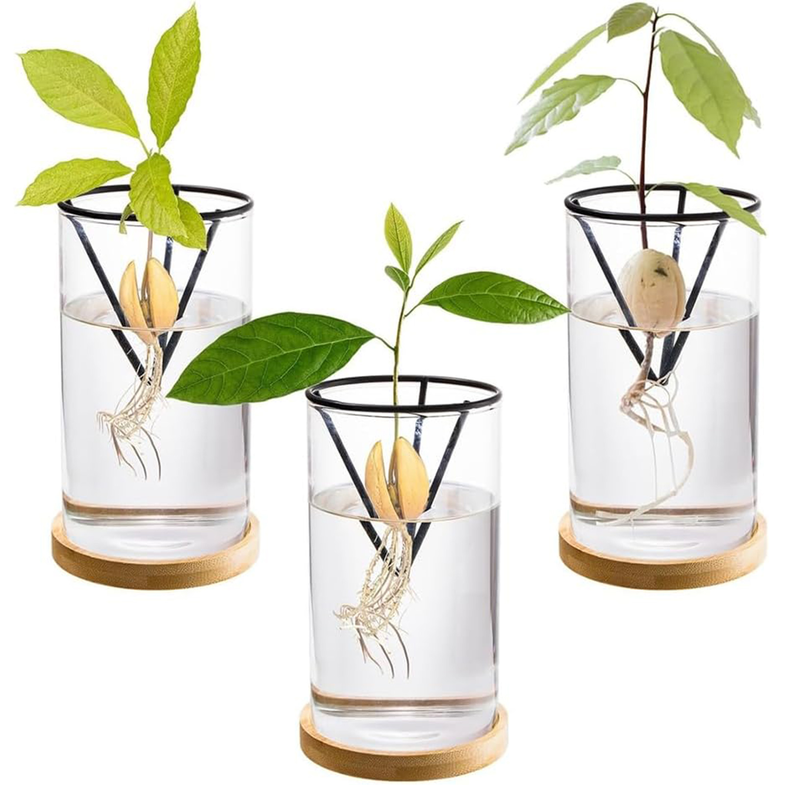 Crystal Growing Kit - 1 conjunto de kits de cultivo