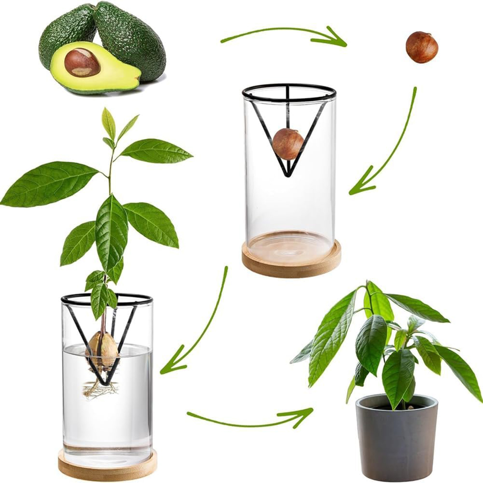 1 conjunto de kits de cultivo  - Crystal Growing Kit avaliação e preço